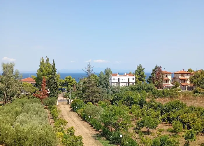 Haris Papa Kallithea Halkidiki *