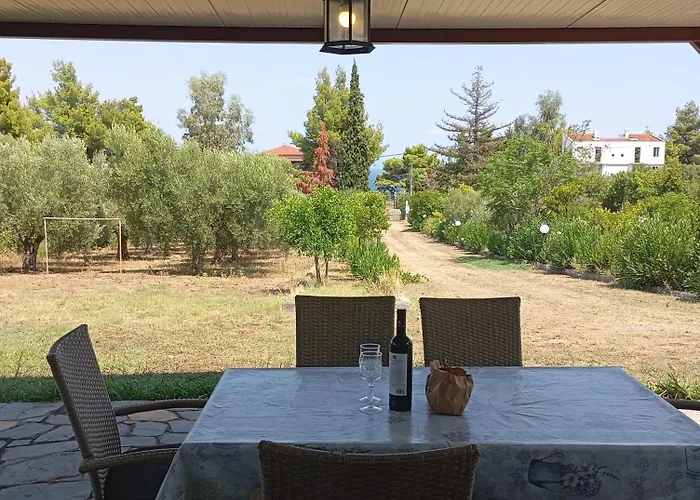 Haris Papa Kallithea Halkidiki *