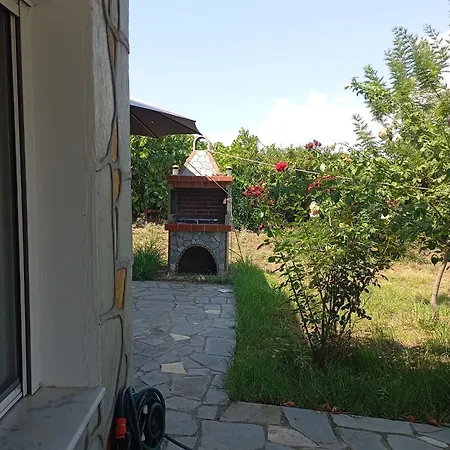 Haris Papa Kallithea Halkidiki