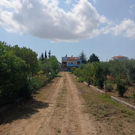 Haris Papa Kallithea Halkidiki ヴィラ アフィトス