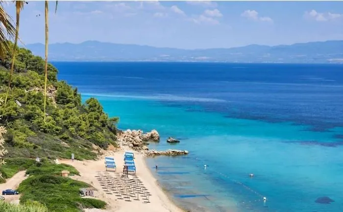 Haris Papa Kallithea Halkidiki