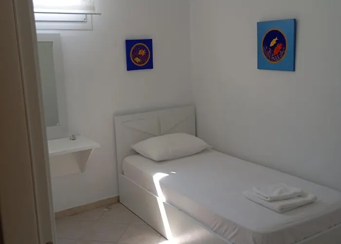 Haris Papa Kallithea Halkidiki 别墅 阿菲托斯