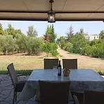 Haris Papa Kallithea Halkidiki *