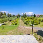 Haris Papa Kallithea Halkidiki 别墅 阿菲托斯