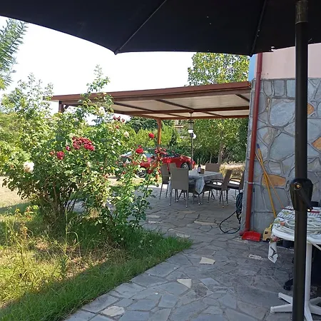 Haris Papa Kallithea Halkidiki