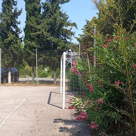 Haris Papa Kallithea Halkidiki