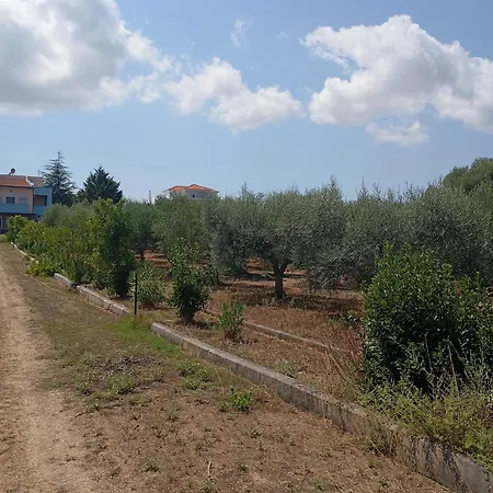 Villa Haris Papa Kallithea Halkidiki